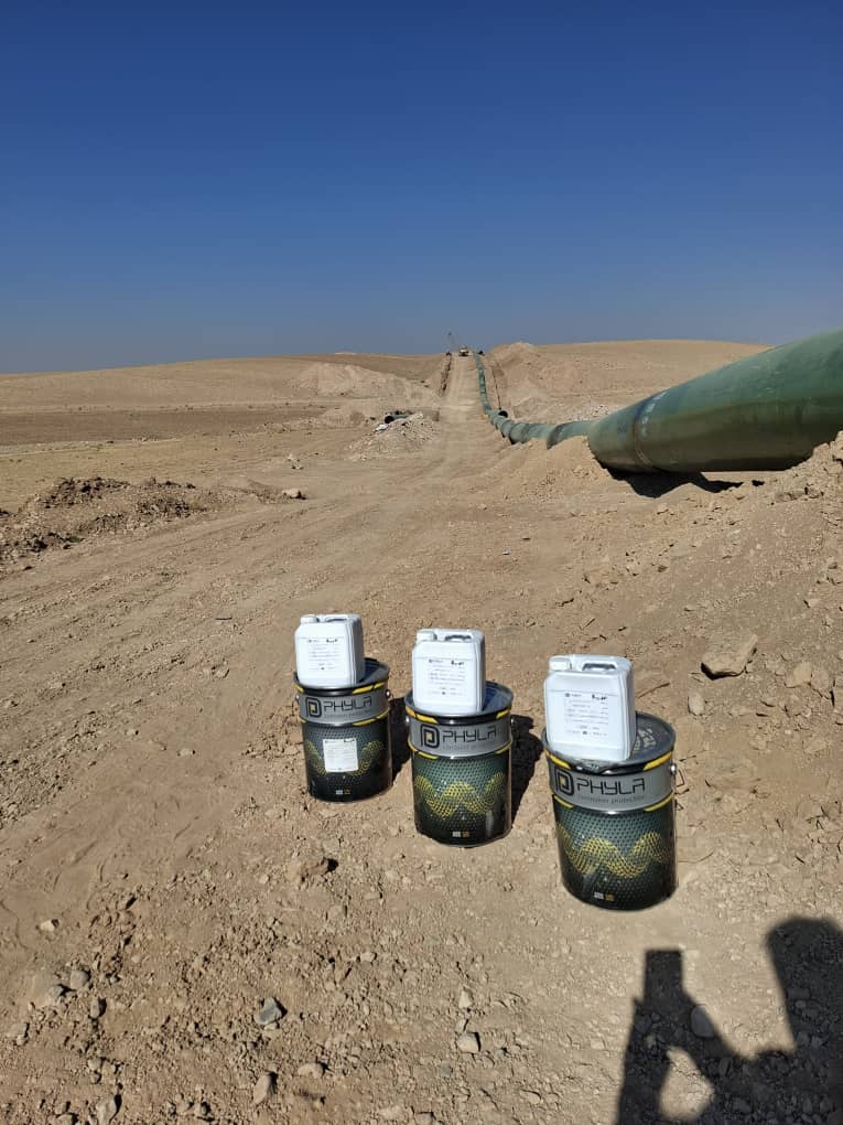 WhatsApp Image 2025-11-02 at 12.32